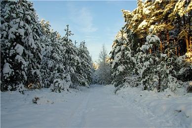 Xbox高管解释新游戏无法使用XSX快速恢复功能的原因